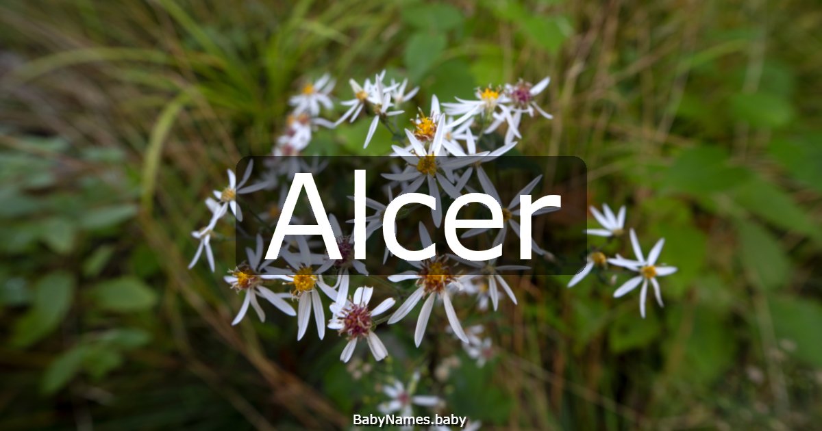 Alcer