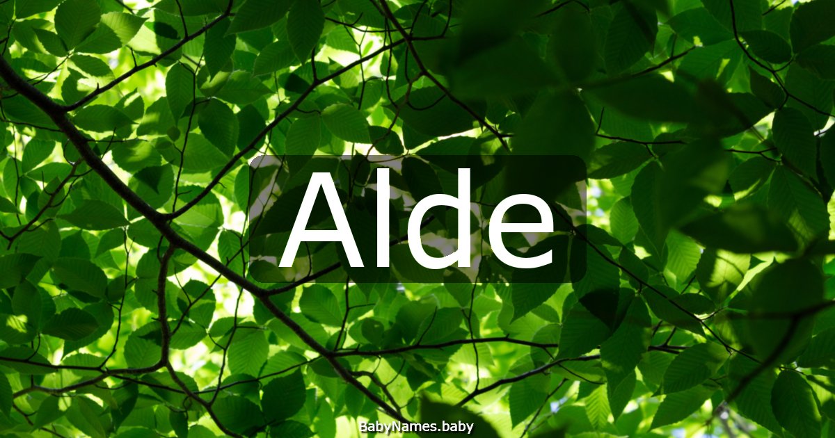 Alde