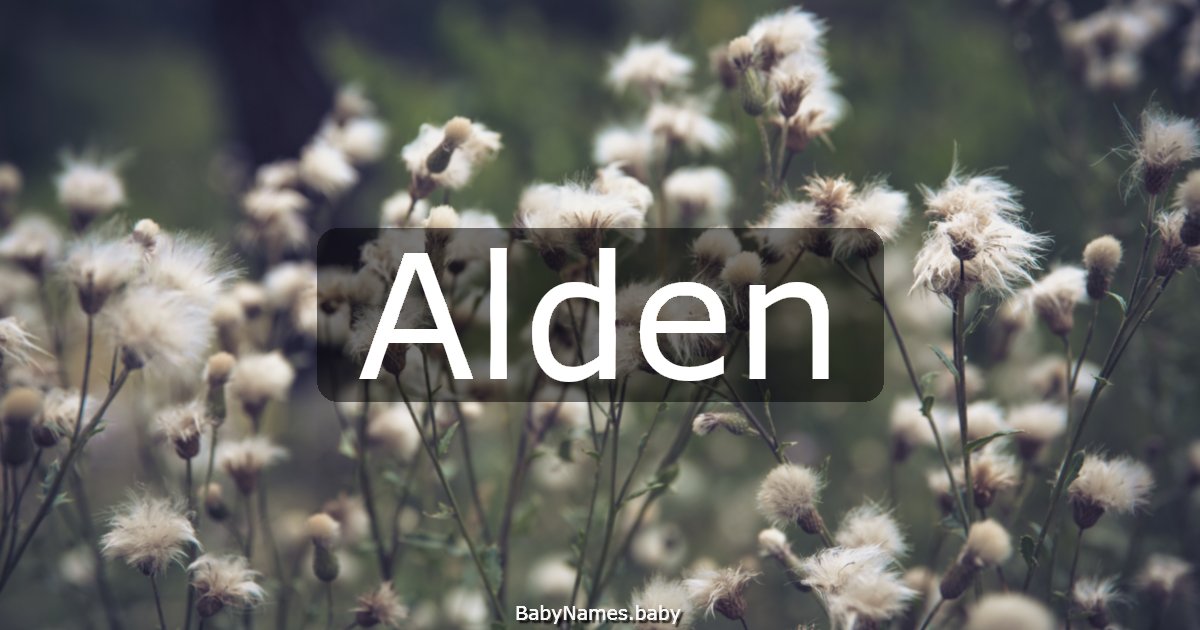 Alden