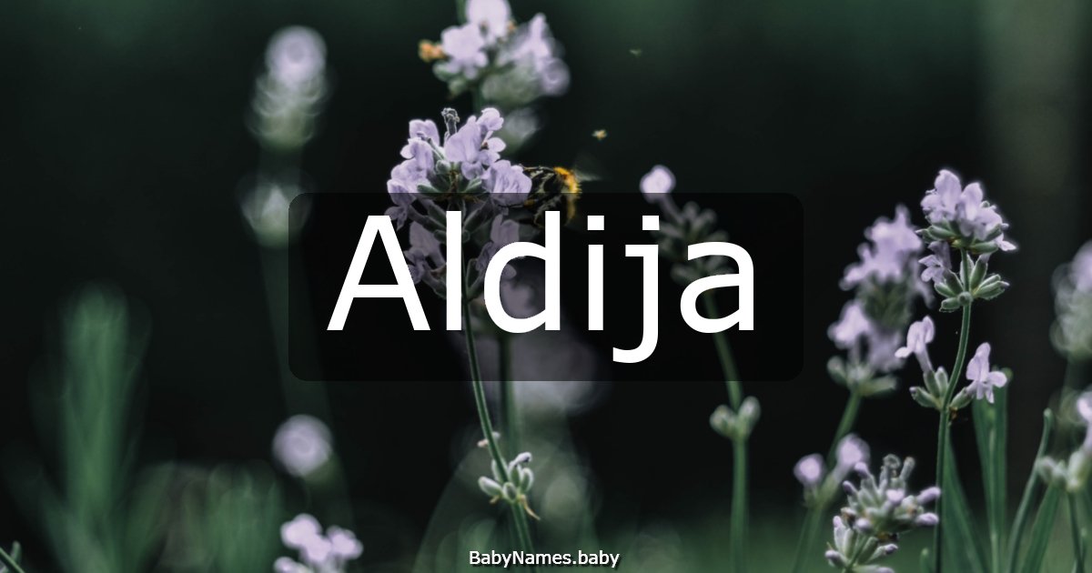 Aldija