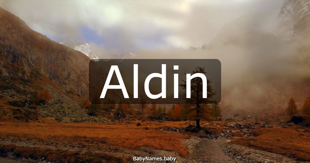 Aldin