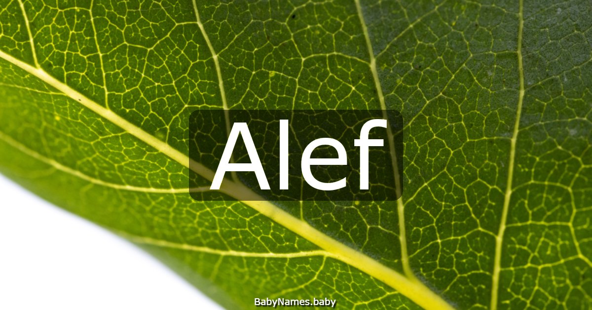 Alef