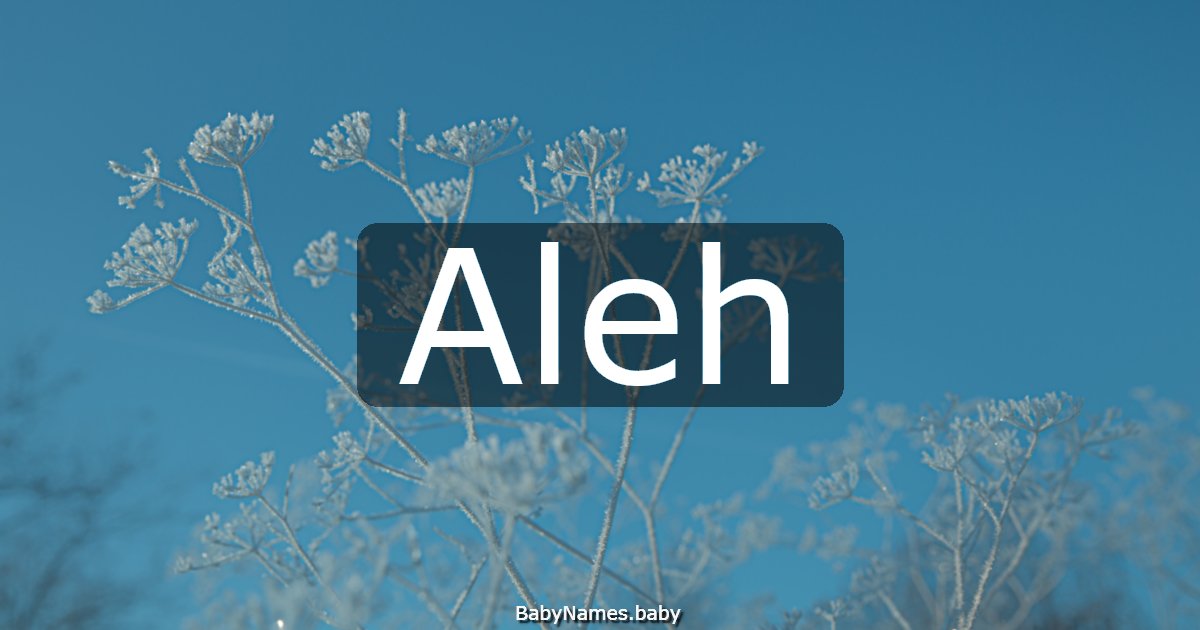 Aleh