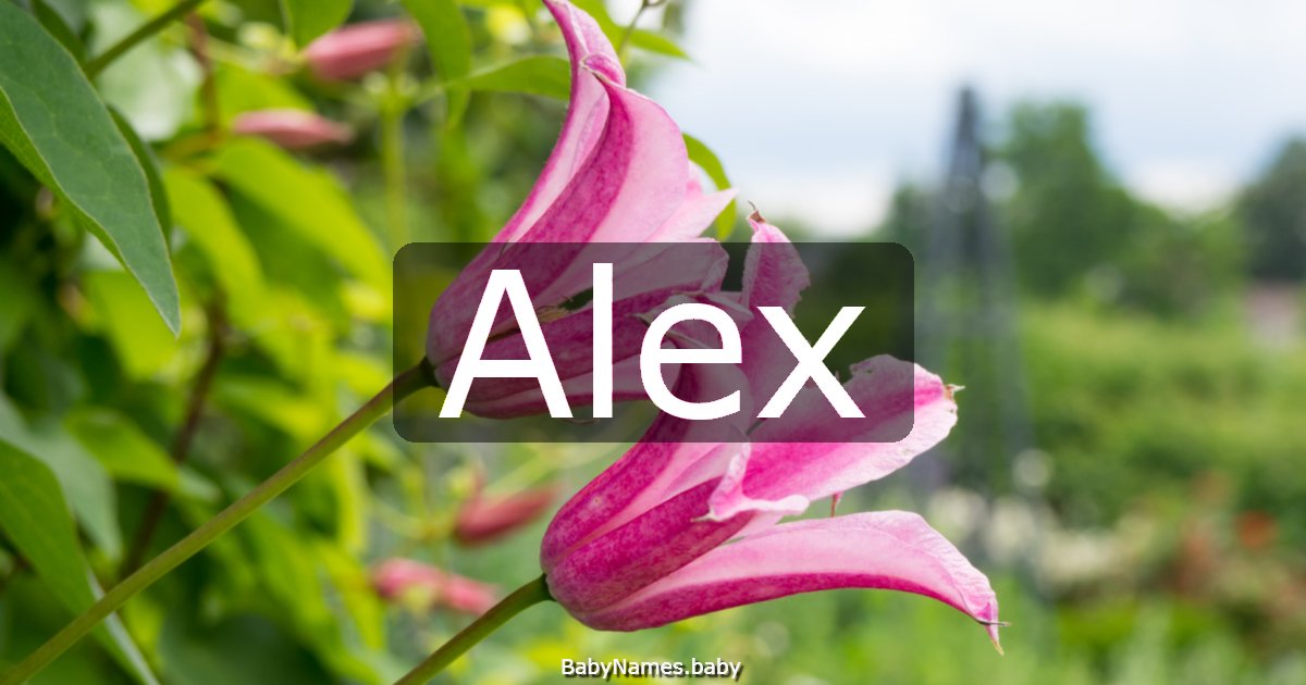 Alex