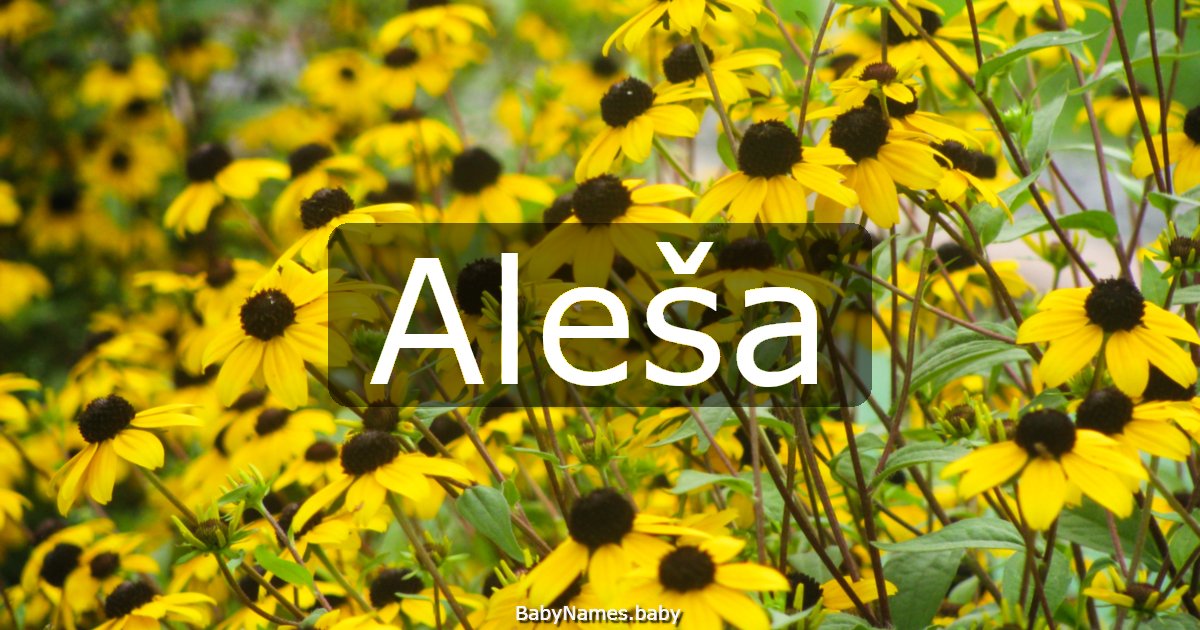 Aleša
