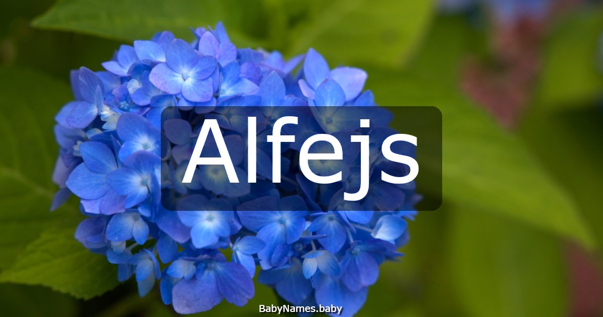 Alfejs