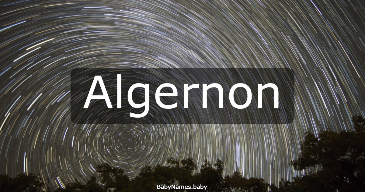 Algernon