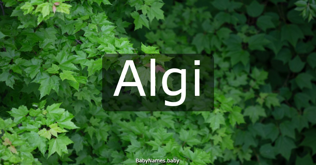 Algi