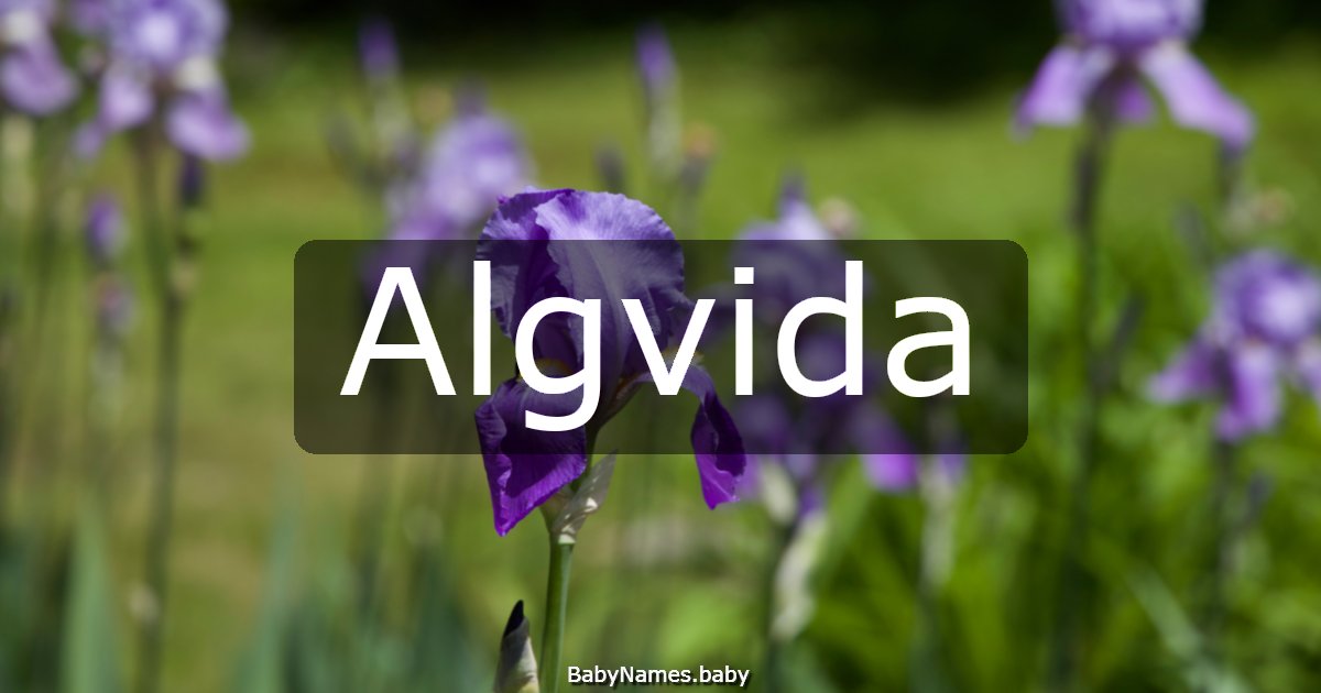 Algvida