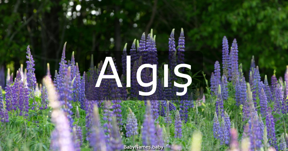 Algış