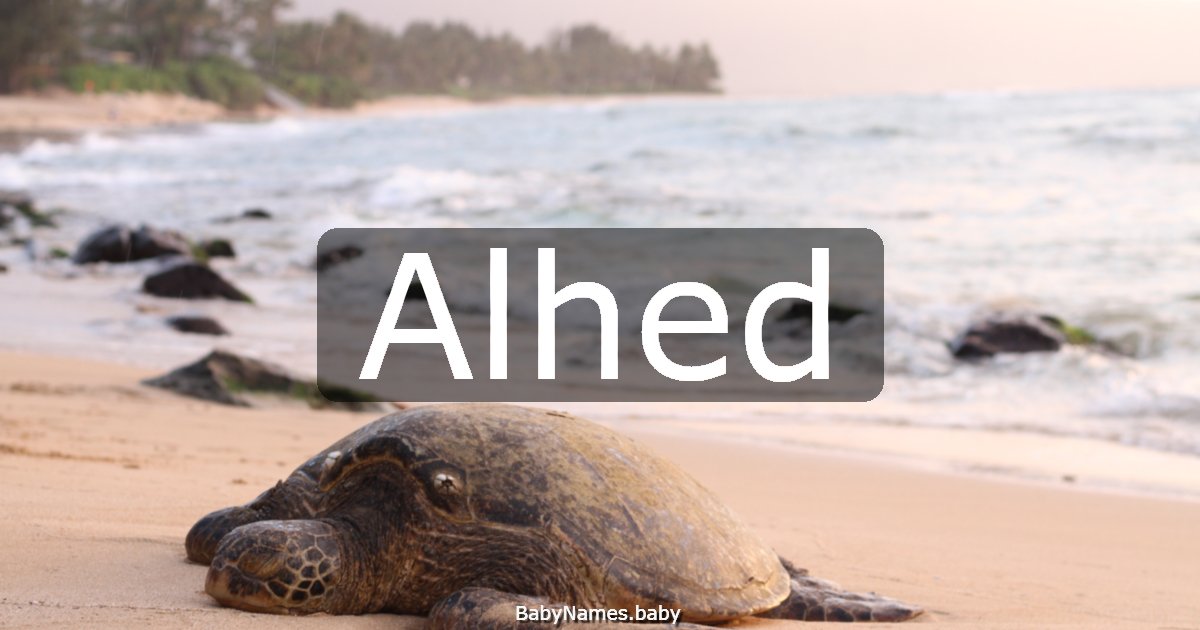 Alhed