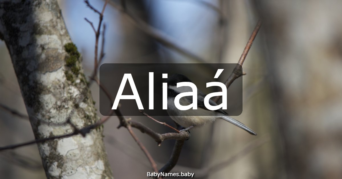 Aliaá