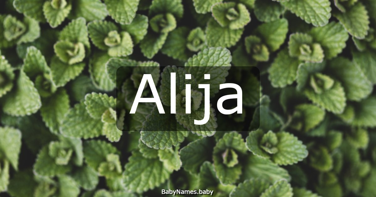 Alija