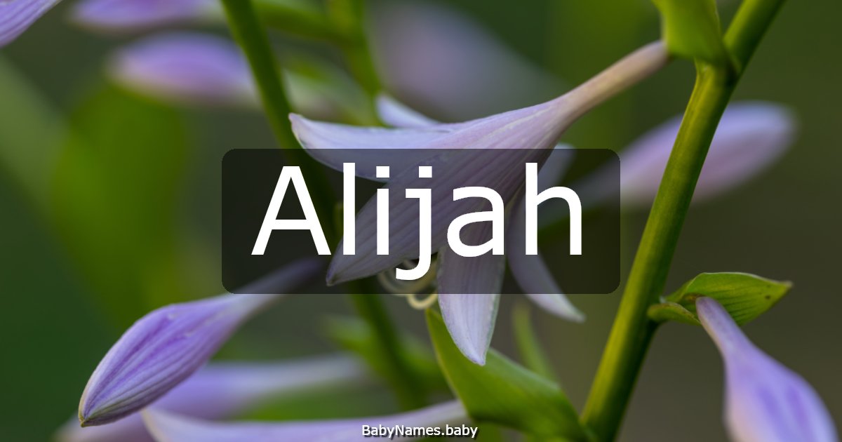 Alijah