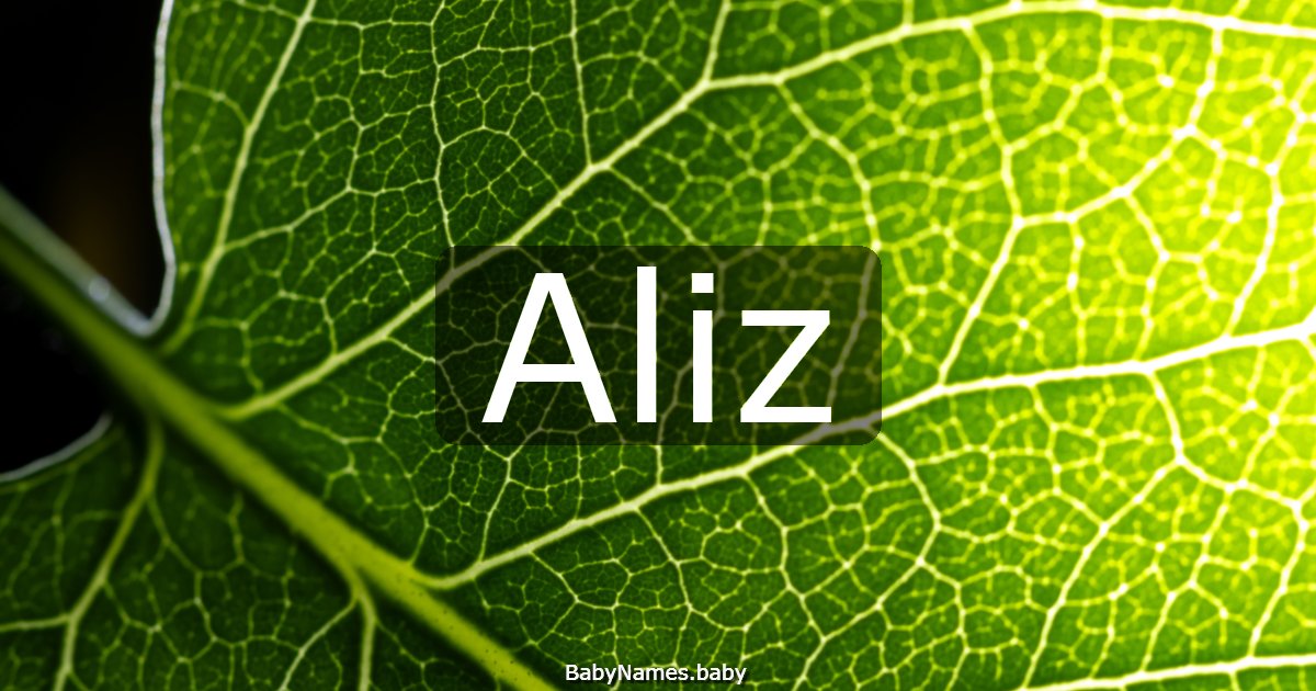 Aliz