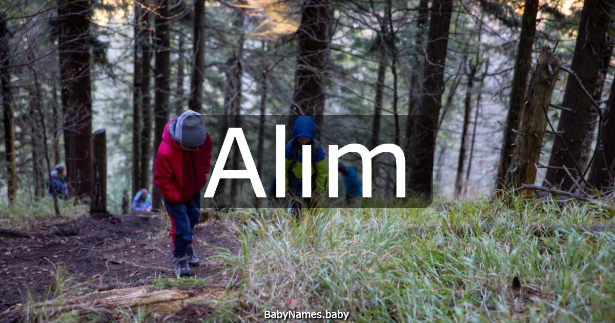 Alım