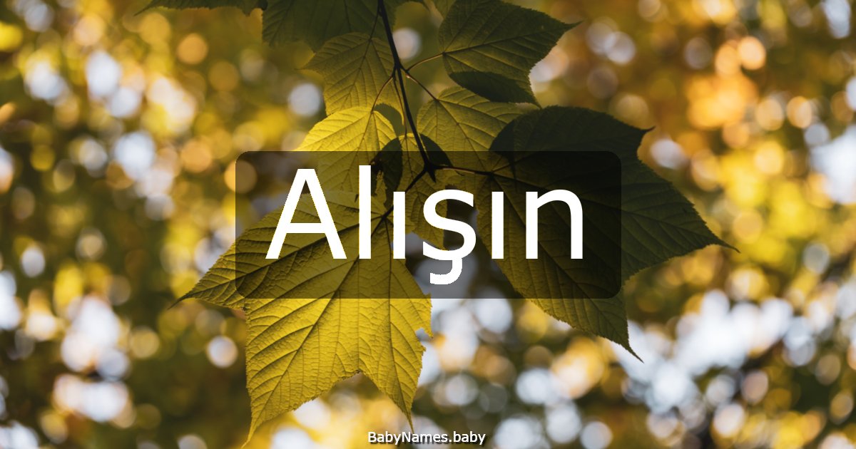 Alışın