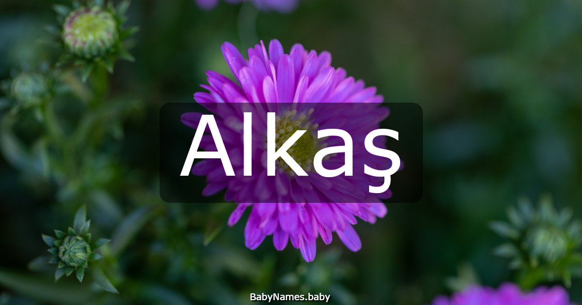 Alkaş