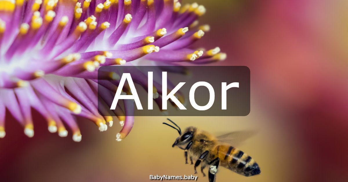 Alkor