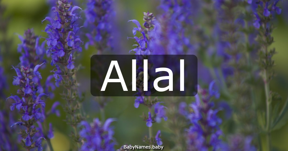 Allal