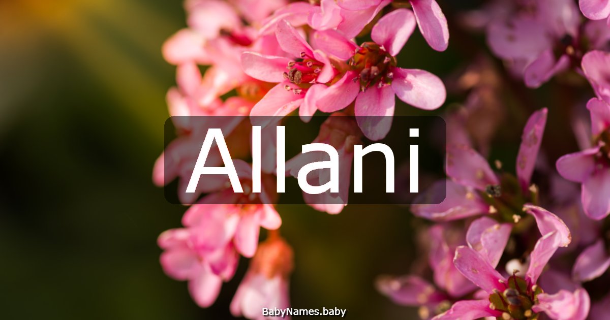 Allani