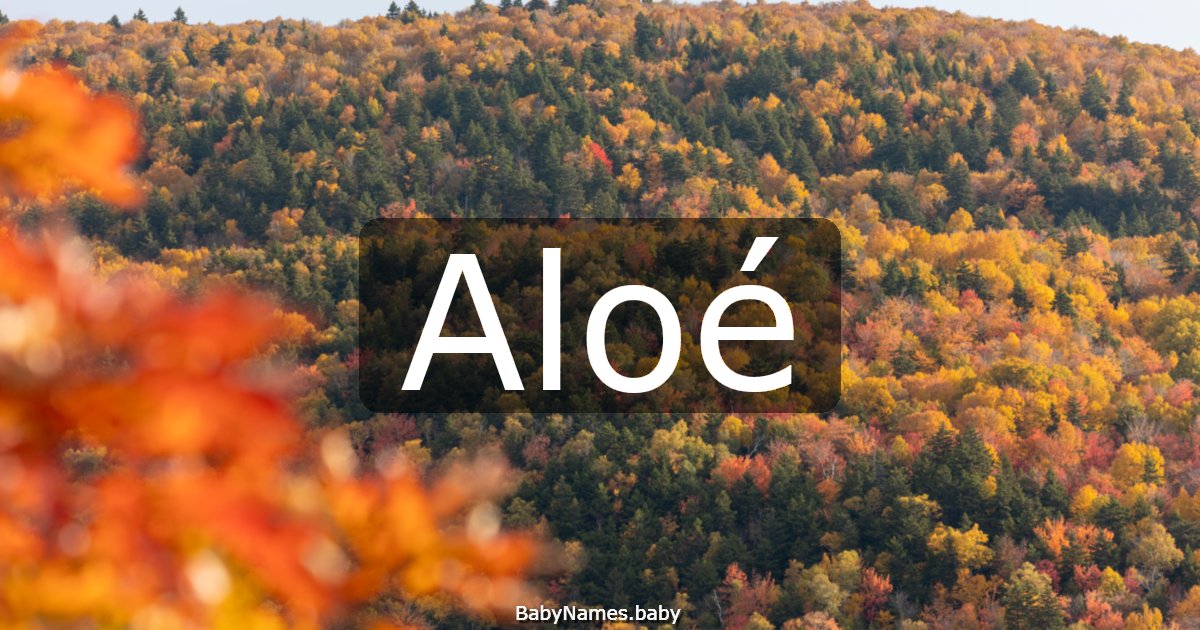Aloé