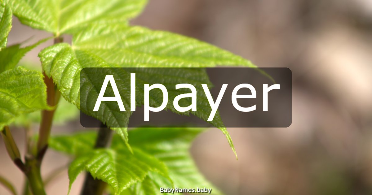 Alpayer