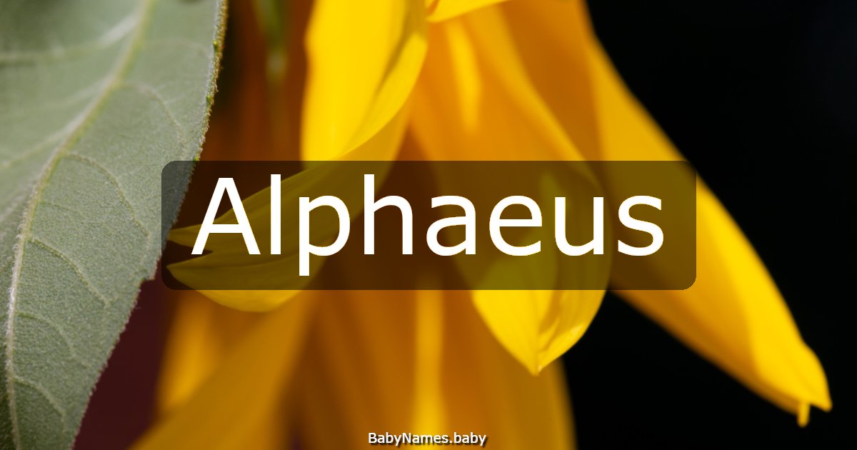 Alphaeus