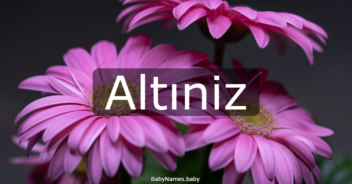 Altıniz