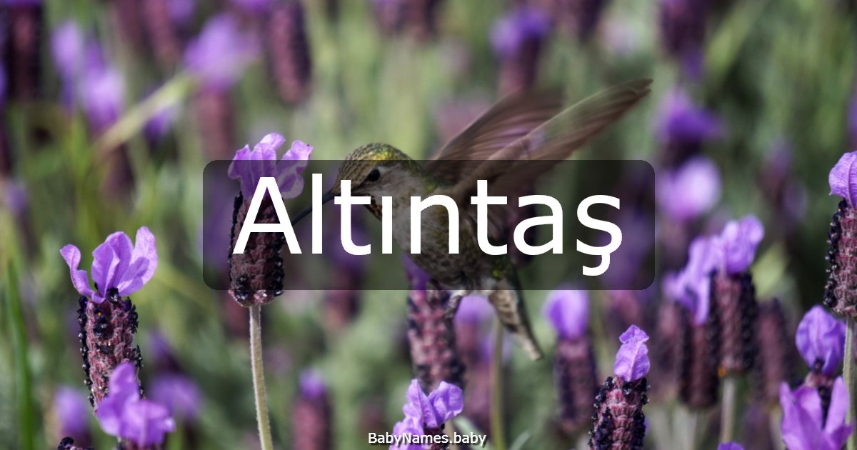 Altıntaş