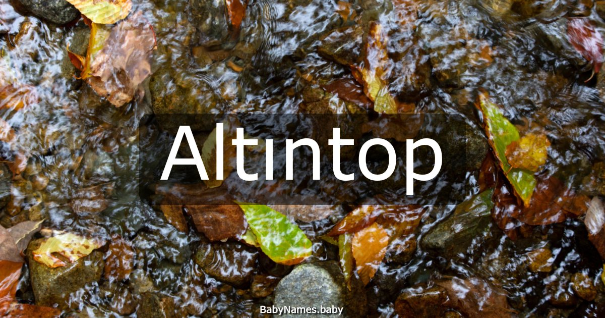Altıntop