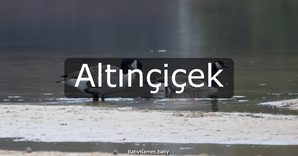Altınçiçek