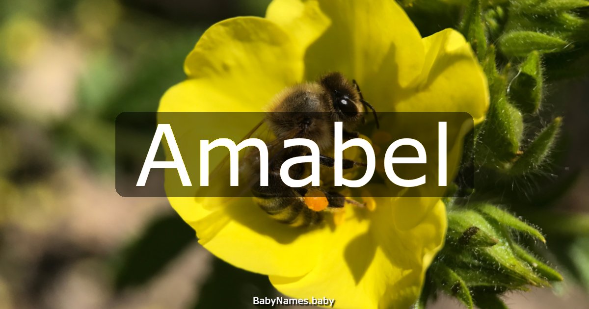 Amabel