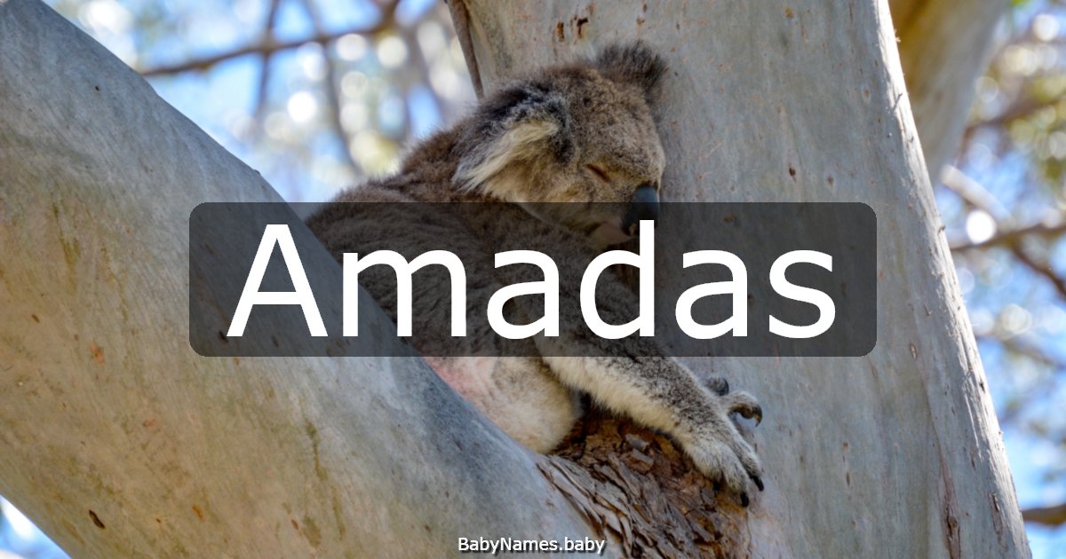 Amadas