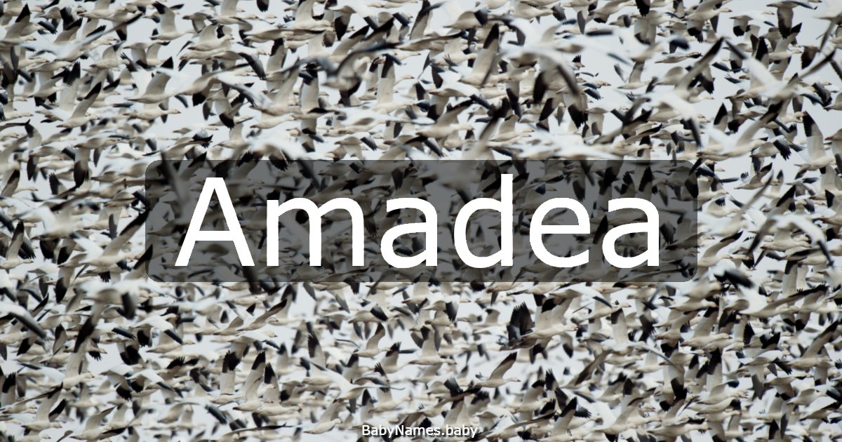 Amadea