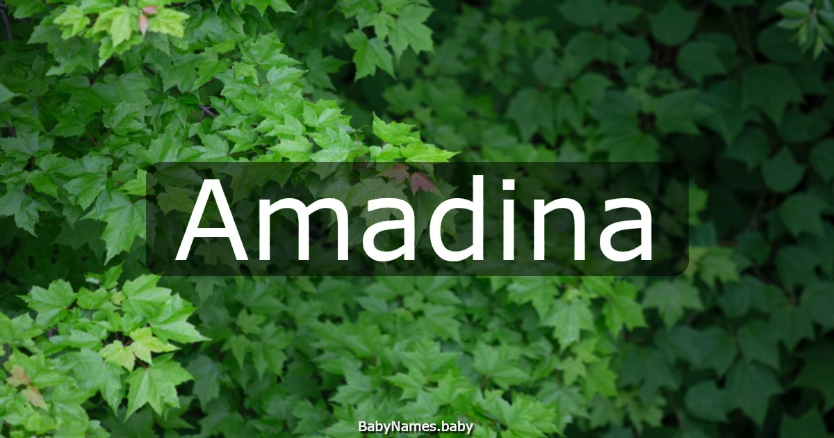 Amadina