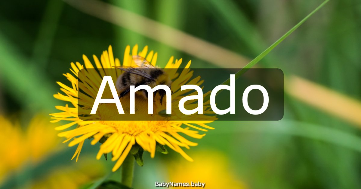 Amado