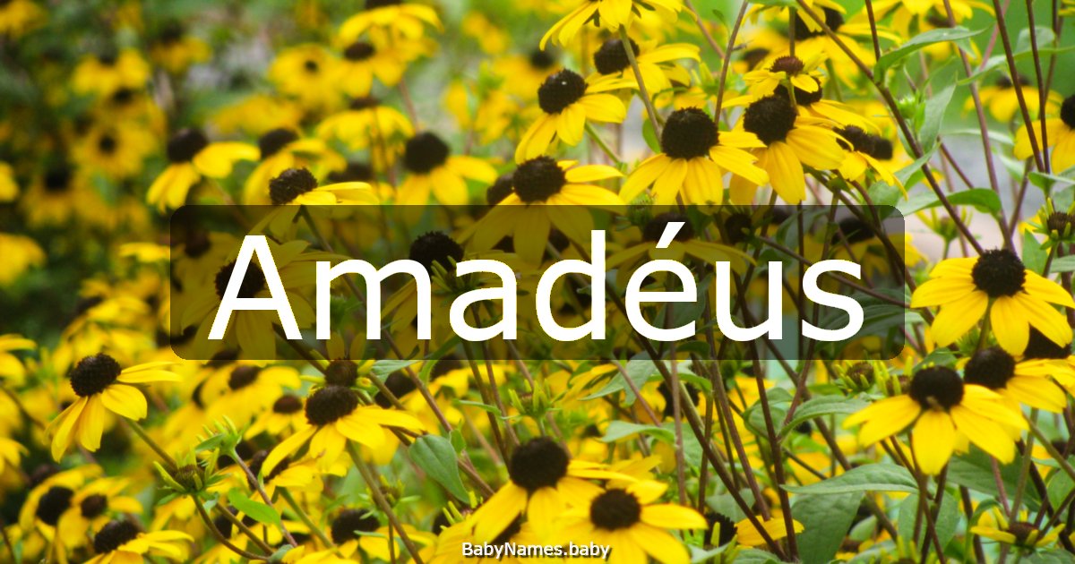 Amadéus
