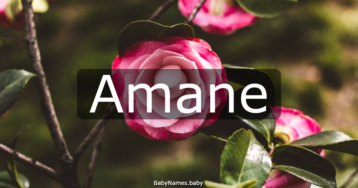 Amane