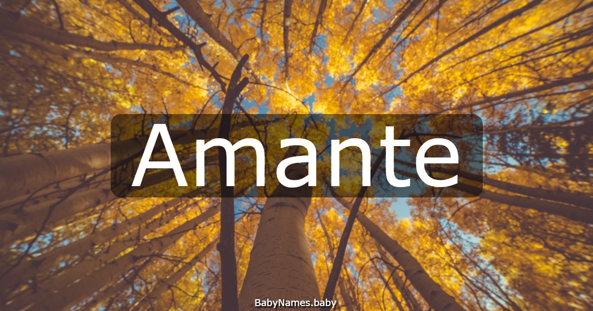 Amante
