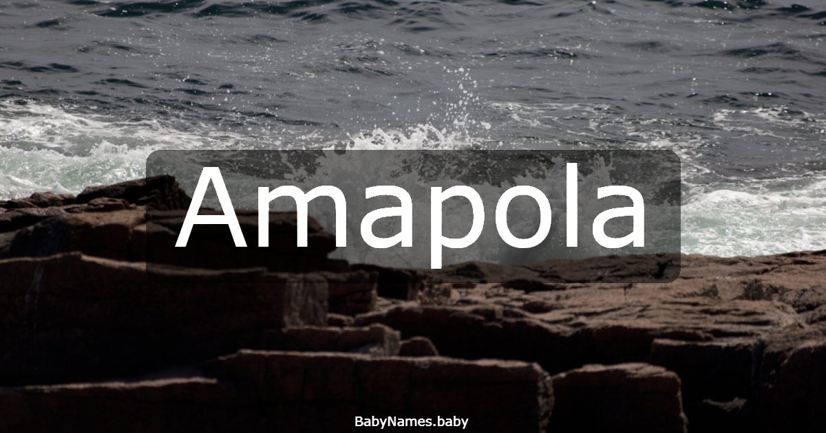 Amapola