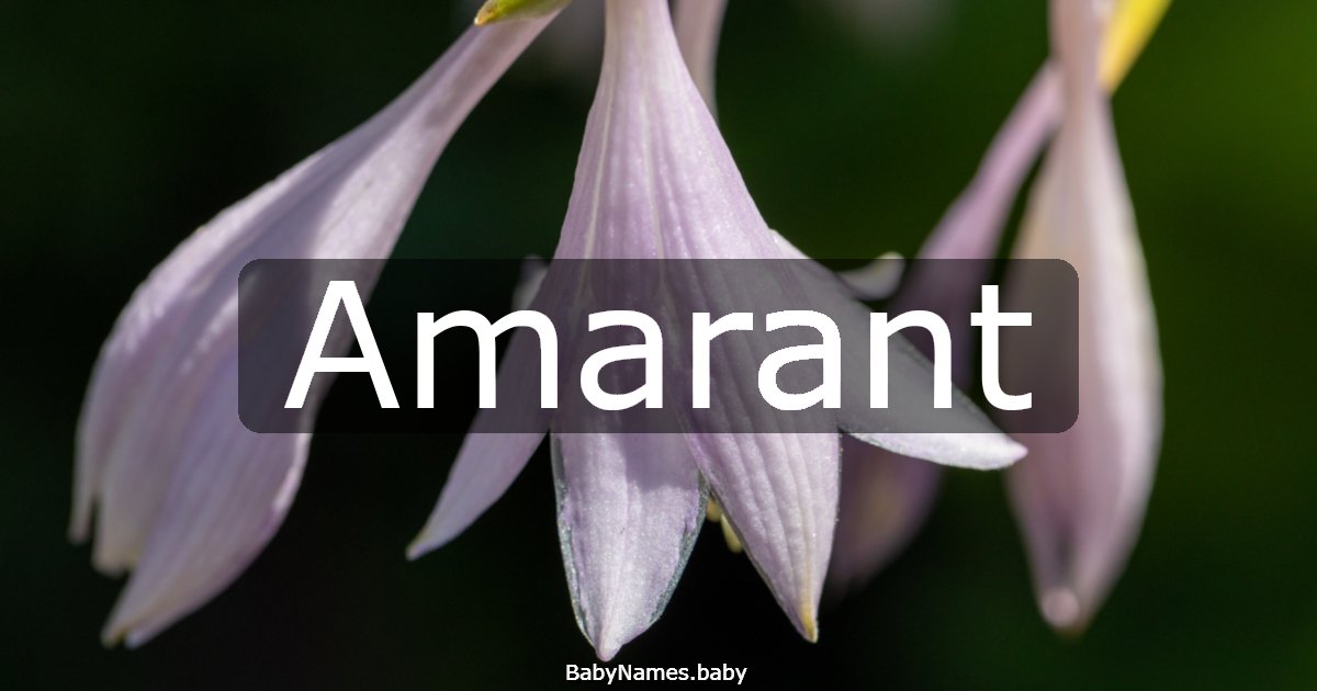 Amarant