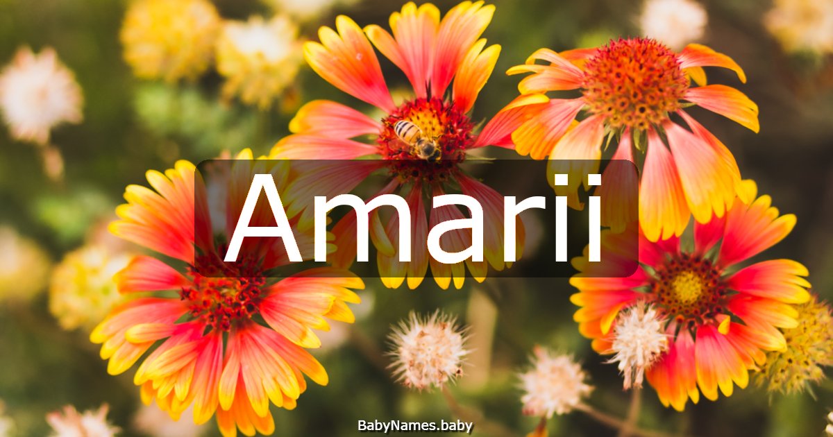 Amarii