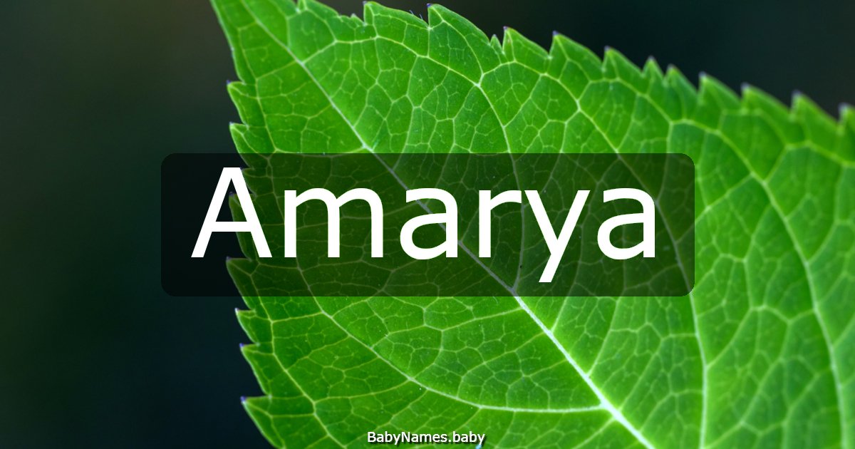 Amarya