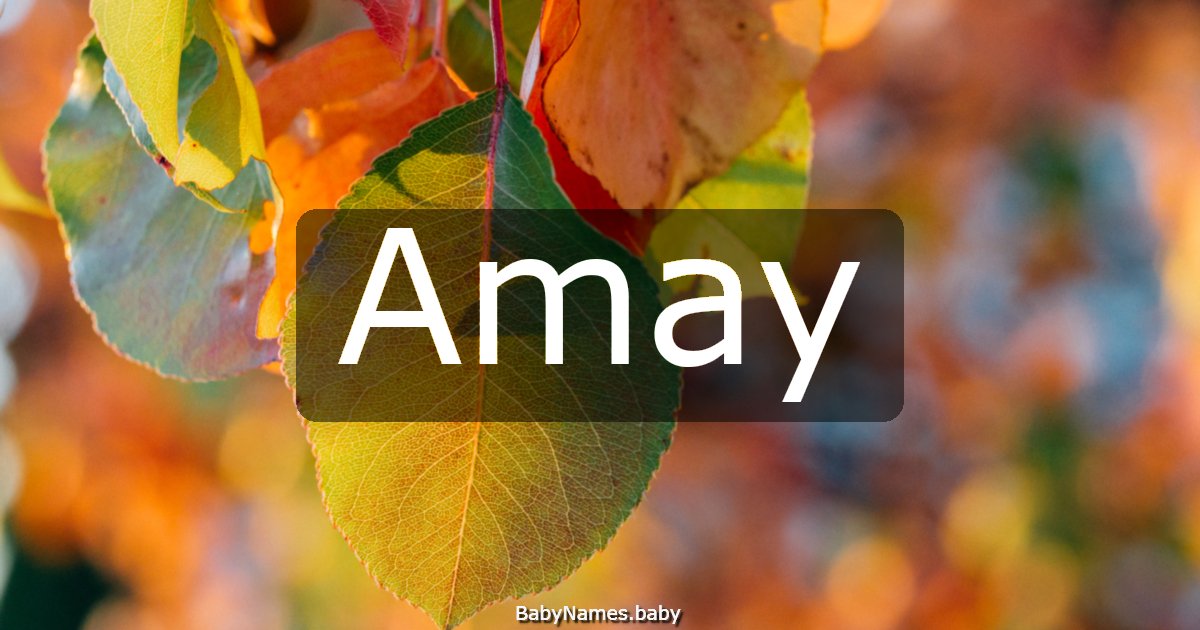 Amay