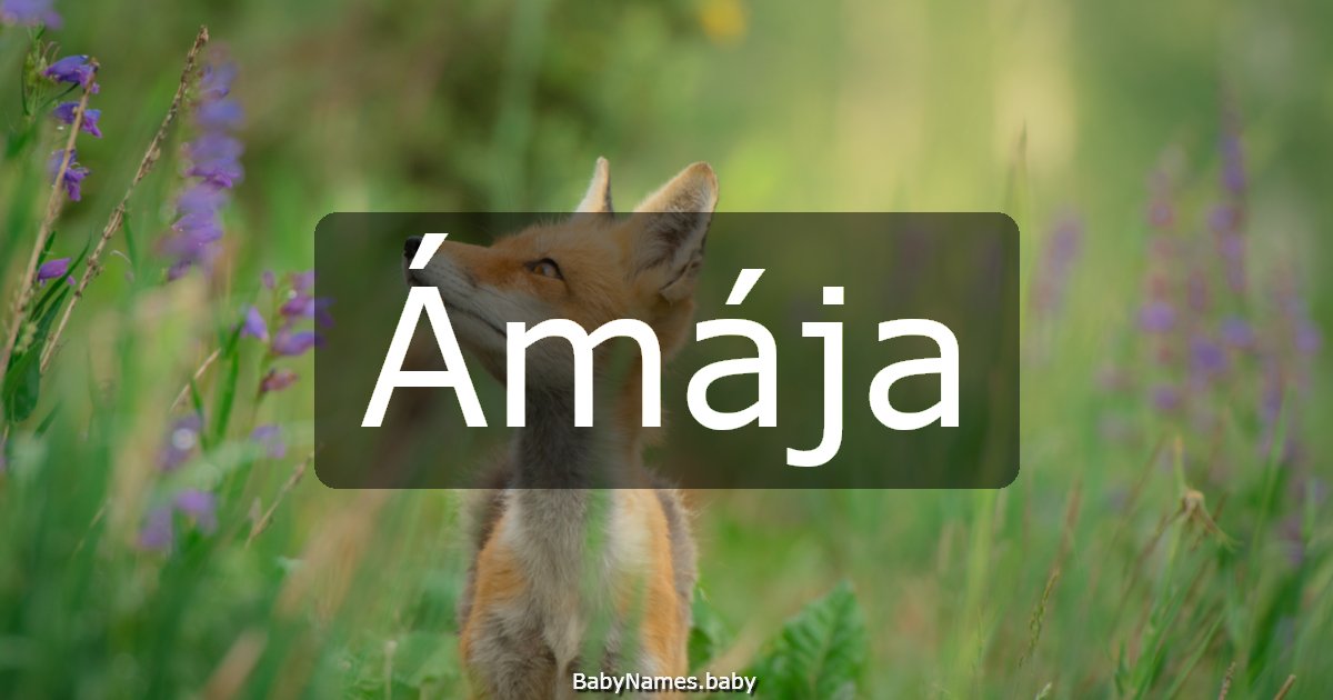 Ámája