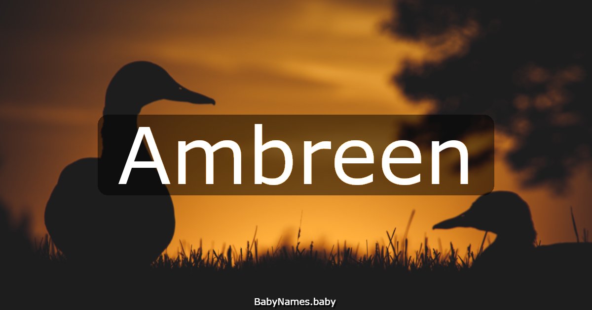 Ambreen