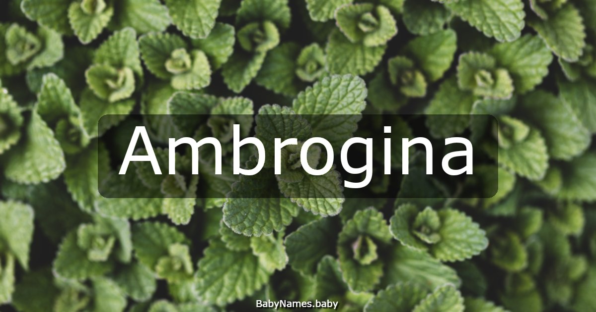 Ambrogina