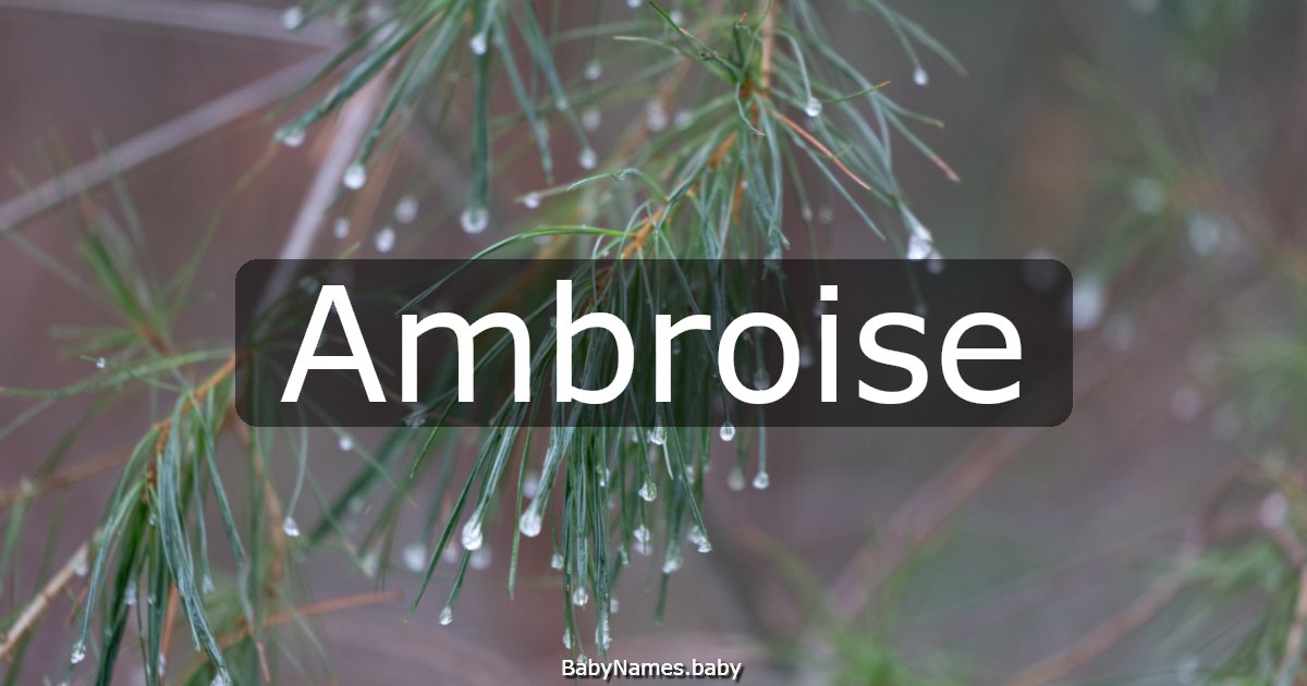 Ambroise