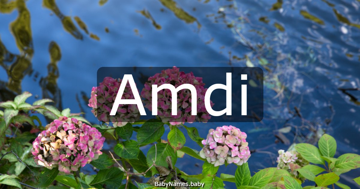Amdi